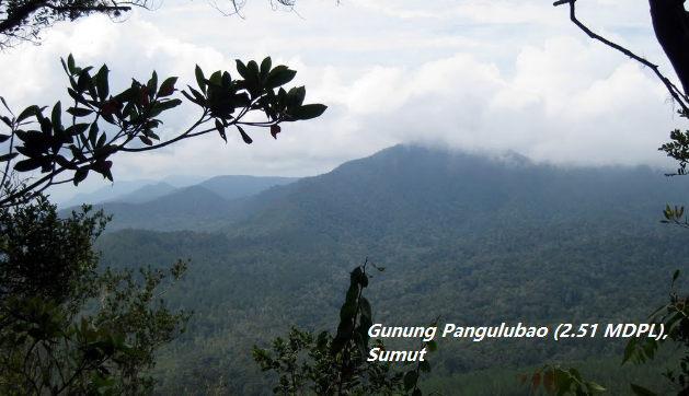 Profil Gunung Pangulubao, dekat Danau Toba