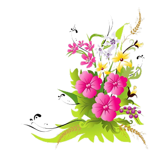 Clipart Hawaiian Flowers