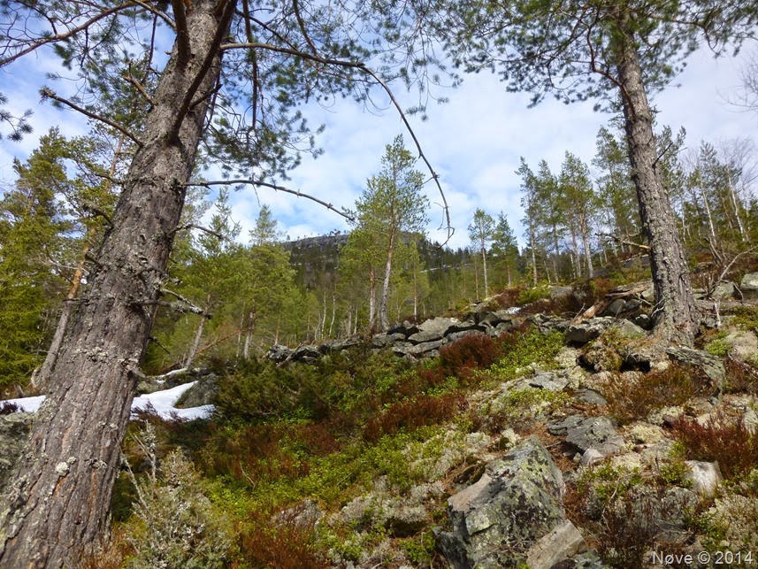 Suserud og Heiun (11)