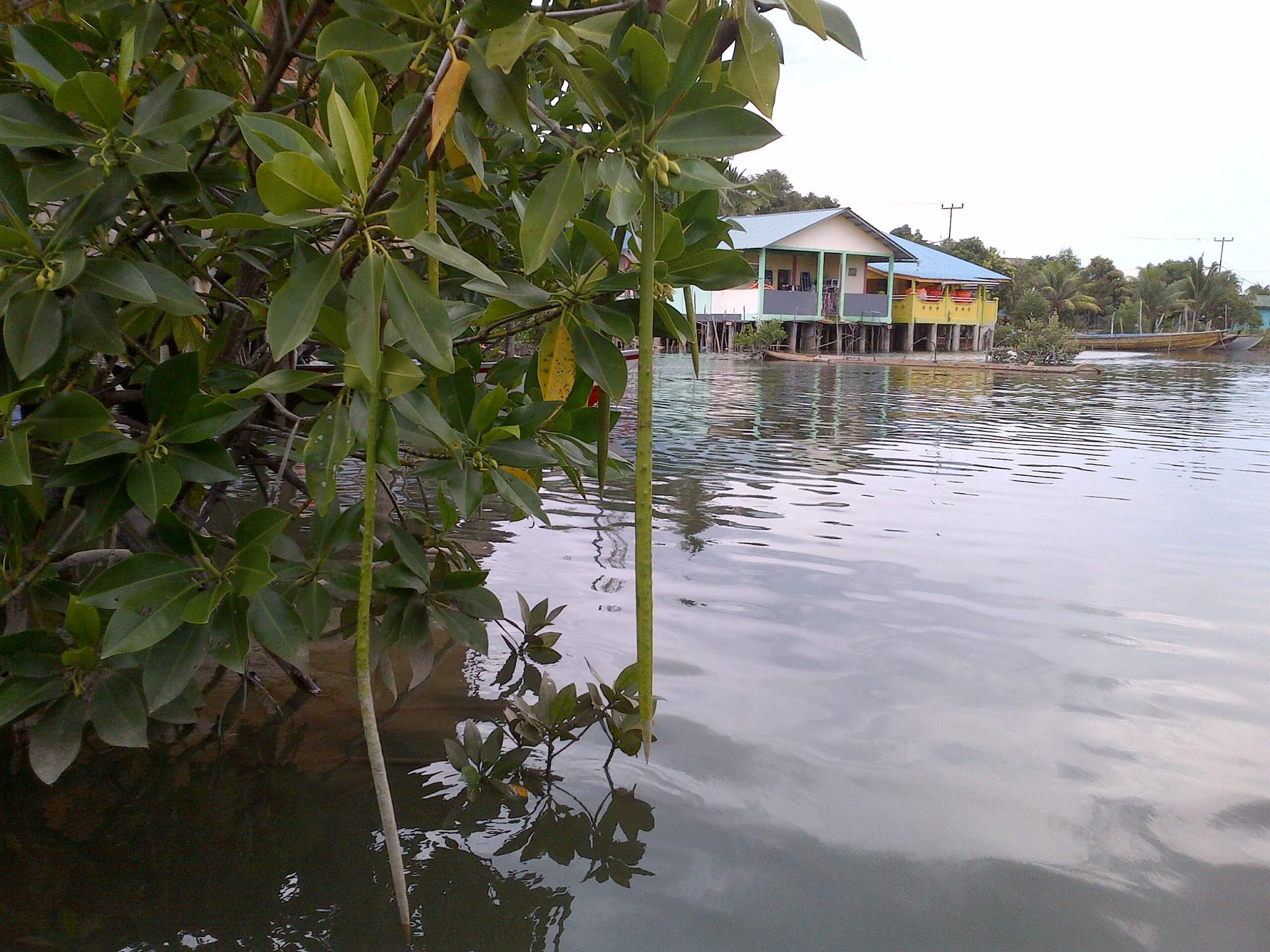 Pantai Indah Pulau Lengkana 2