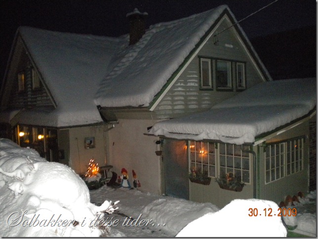 DSCN0661