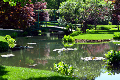 Gibbs Gardens, Monet Waterlily Garden
