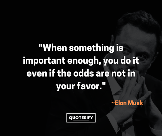"When something is important enough, you do it even if the odds are not in your favor."