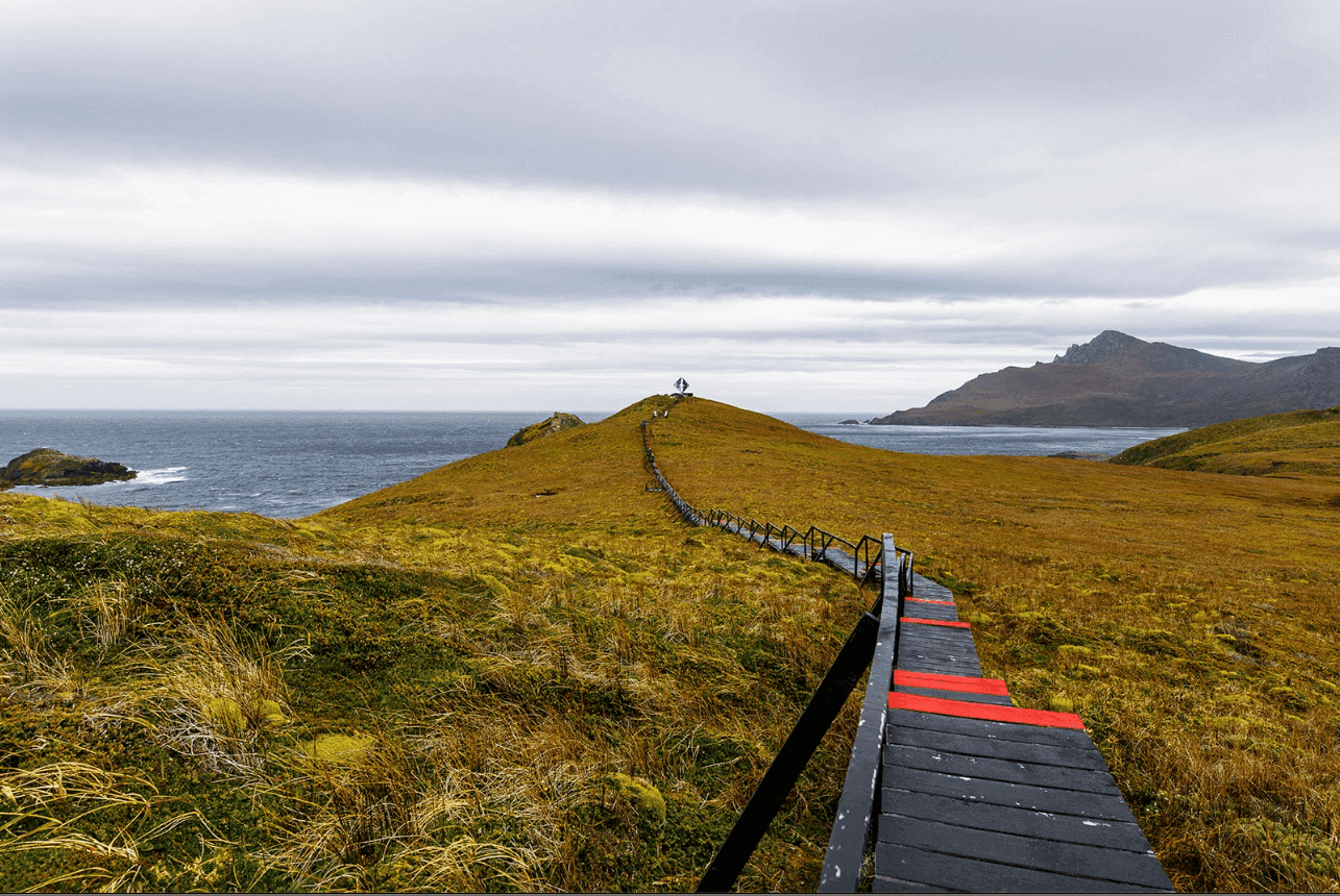 Cape Horn