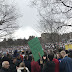 Massachusetts Militia Rallies on Boston Common