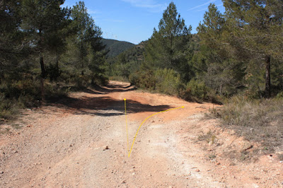 CABRA DEL CAMP-COLL DE SÀRRIA-ROC DEL COGULLÓ-EL COGULLÓ-PUIG DE COMAVERD-COLL DE VALLS, carrerada de Cabra del Camp a Vallespinosa