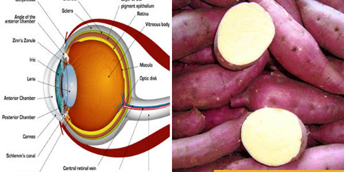 Cómo las patatas dulces (batata) pueden ayudar a prevenir la ceguera y ayuda a perder peso