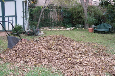 Leaves to mulch,annieinaustin