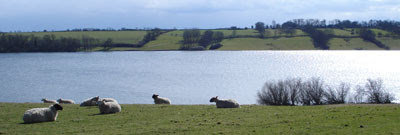 Rutland Water