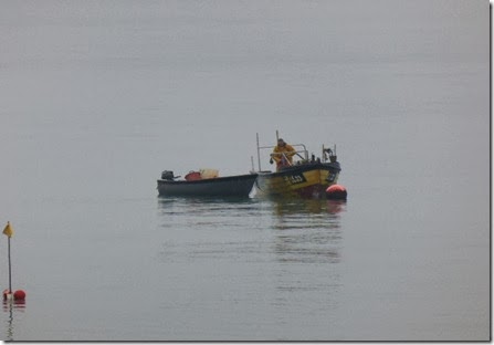 P1000254