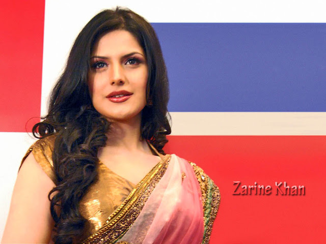 zarine khan hot photos & zarine khan hot pictures