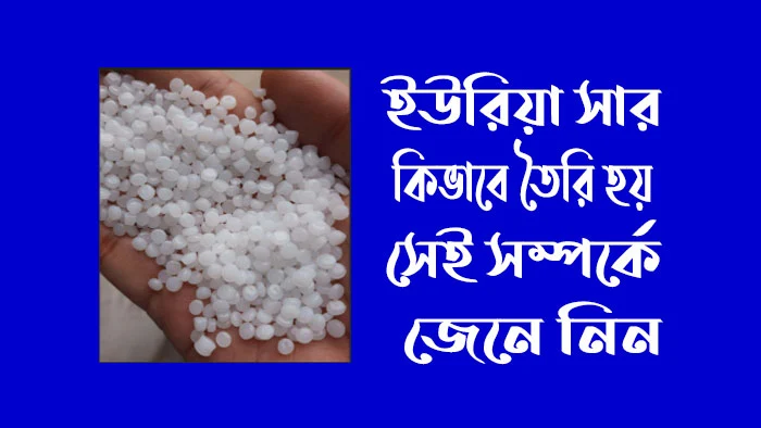 ইউরিয়া সার কিভাবে তৈরি হয় সে সম্পর্কে জেনে নিন?