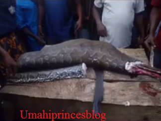 https://umahiprince.blogspot.com/2017/09/photos-python-that-swallowed-antelope.html