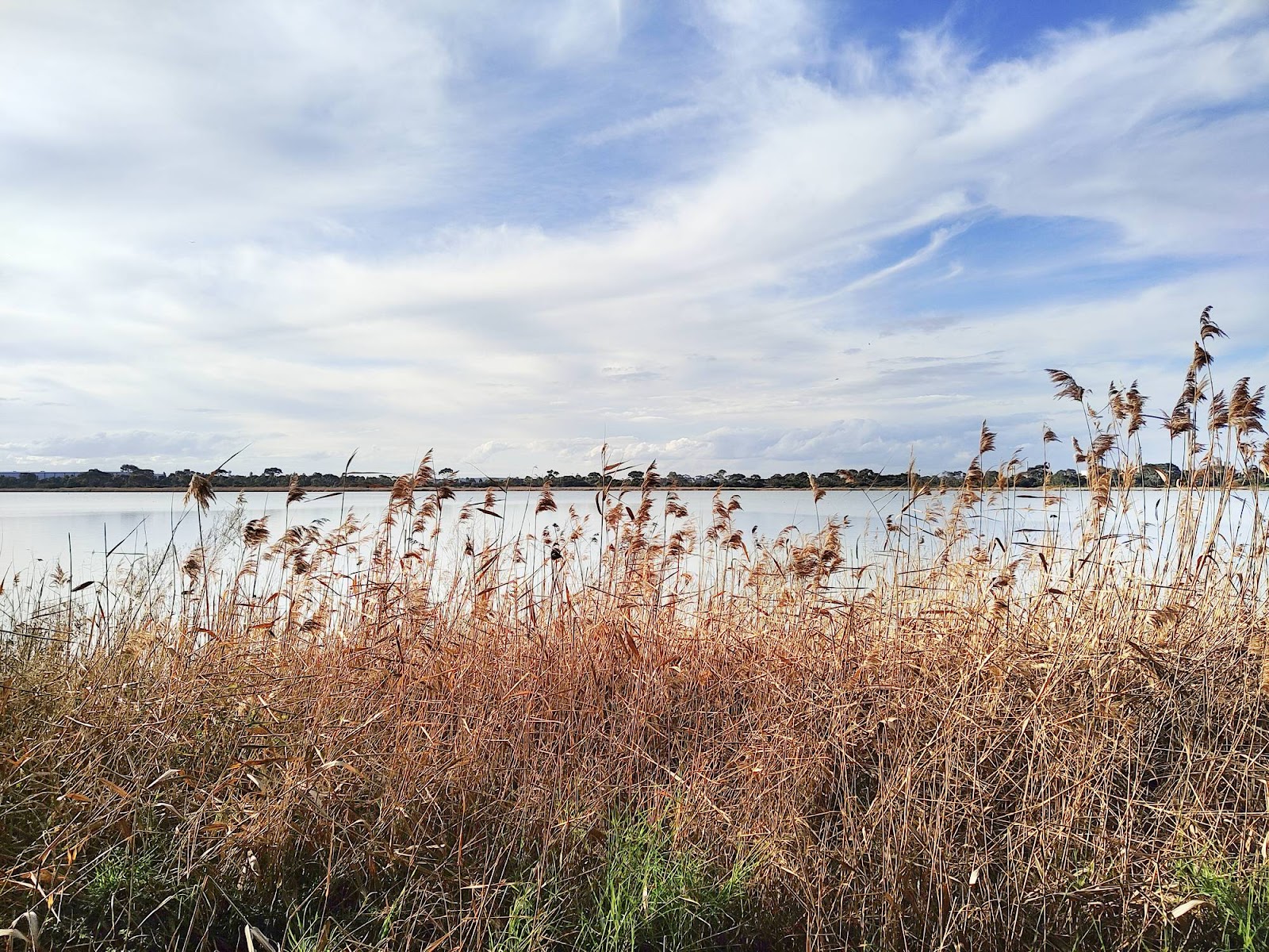 Cherry Lake