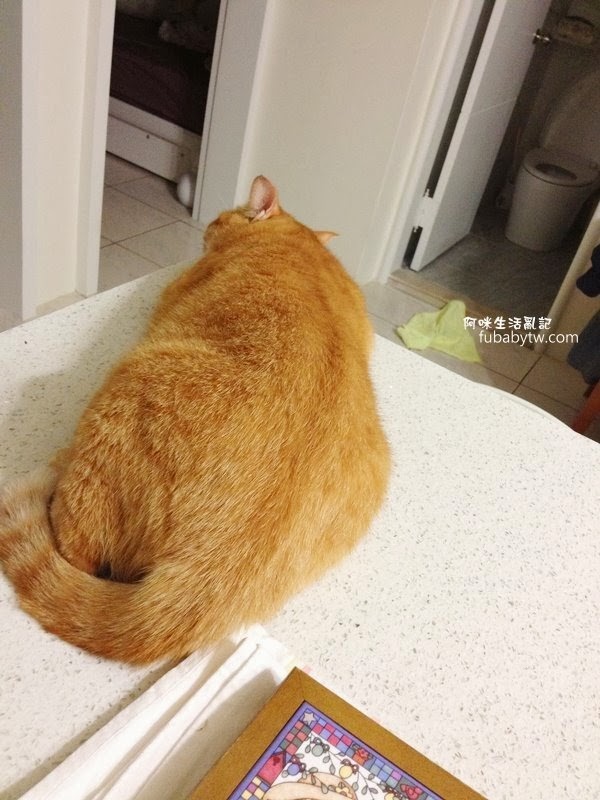 調整大小IMG_1145