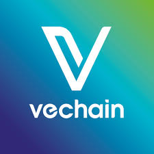 Ve chain coin Hindi