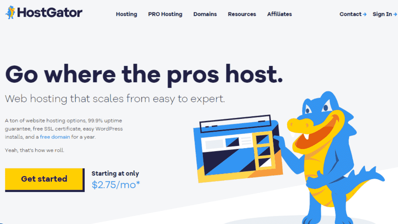 HostGator Perfect Hosting for Bloggers and Small Businesses