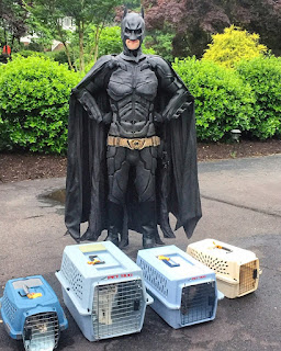Hombre disfrazado de Batman salva a los animales de refugio de la eutanasia