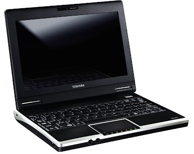 Toshiba NB100 netbook