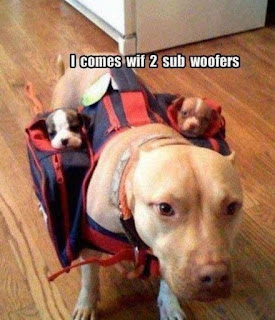 Dog Humor ; I come with two sub woofers