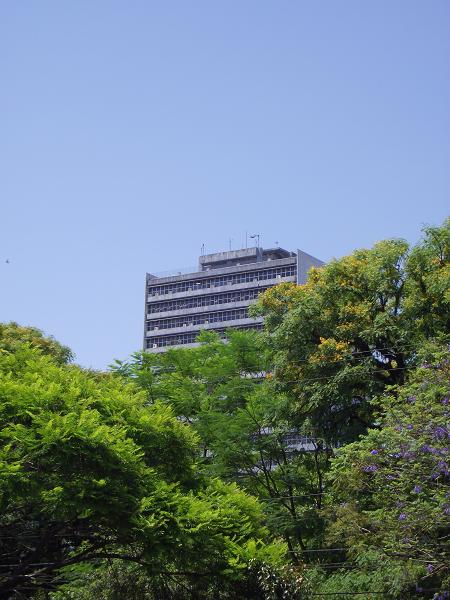 árvores com céu azul, primavera, Porto Alegre, Centro Administrativo Fernando Ferrari, Bairro Praia de Belas