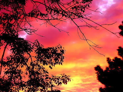 Fondos el Cielo de Verano