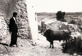 La España rural en los años 50