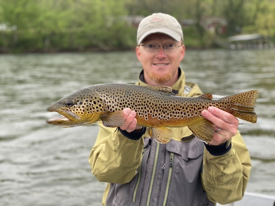 White River dark brown trout