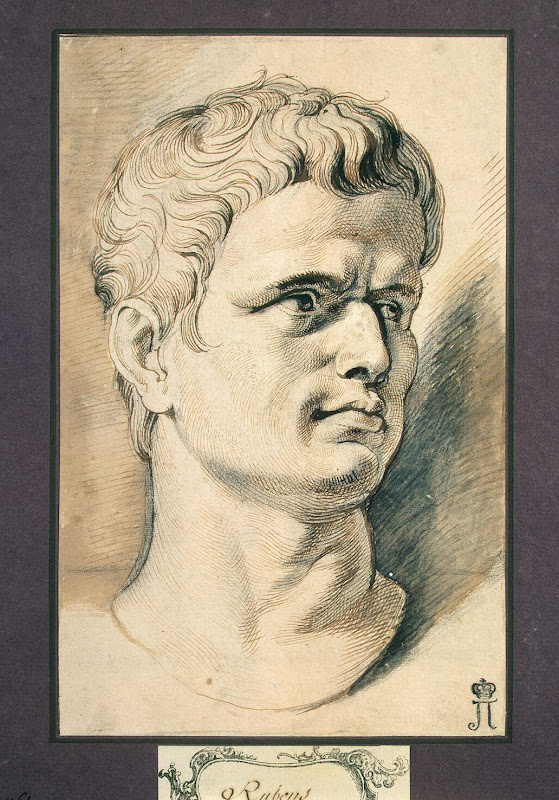 Head of Brutus by Pieter Paul Rubens - Portrait Drawings from Hermitage Museum