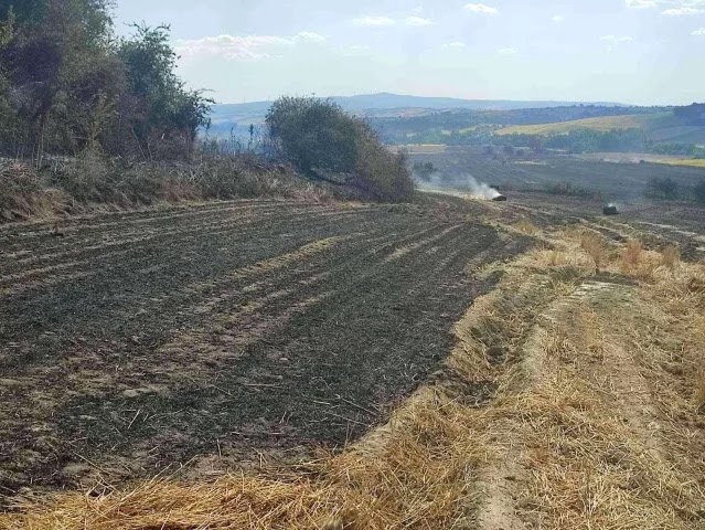 O kadar Haber Yapıyoruz Yinede Anız Yakıyorlar Malkara'da 380 dönüm buğday tarlası kül oldu