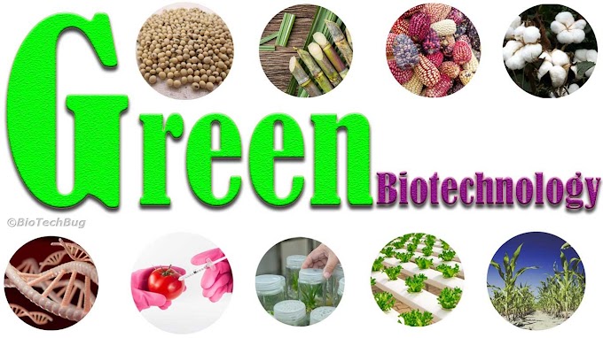 Overview of Green Biotechnology