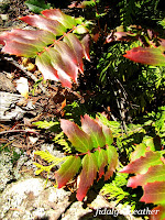 Deception Pass State Park