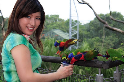 Colour Picture Singapore Bird on Photo  Having Amazing Experience At Lory Loft