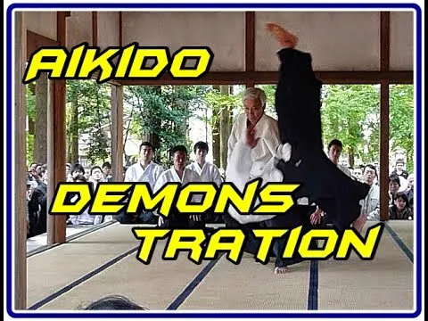 aikido demonstration auto defesa