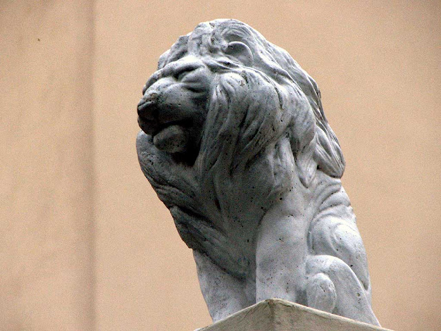 Composed lion keeping watch from a pillar, via Montebello, Livorno