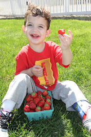 Jersey strawberries are YUMMY!