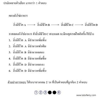 ข้อสอบ Onet