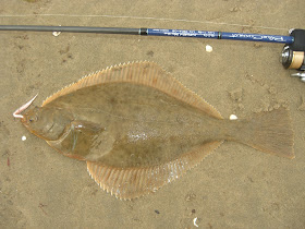 Flatfish on Lures