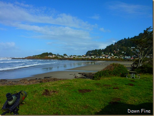oregon coast drive_001