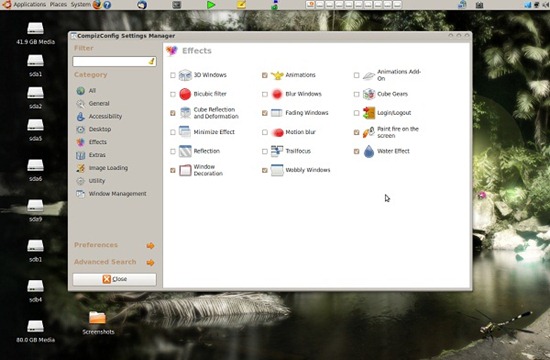 compiz_9a3