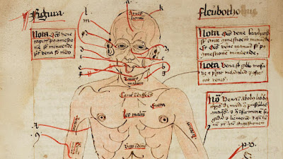 Bizarre Medieval Medical Cures Revealed