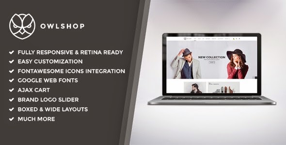 Premium Responsive Magento Theme 2015