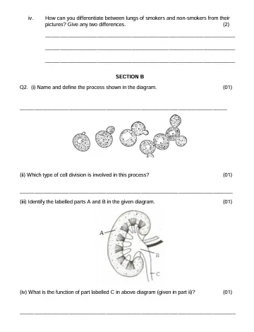 Biology Model Paper Page 2