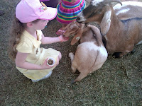 Feeding the Petting Zoo Animals