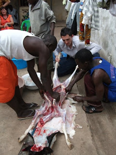 gambia