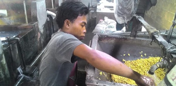 Rupiah Anjlok, Perajin Tempe Terancam Gulung Tikar