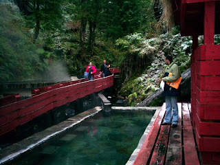 Villarrica National Park-Chile