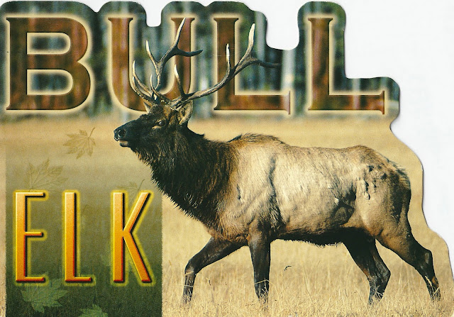 Shaped Bull Elk postcard and a Raymond Loewy Pencil Sharpener Stamp