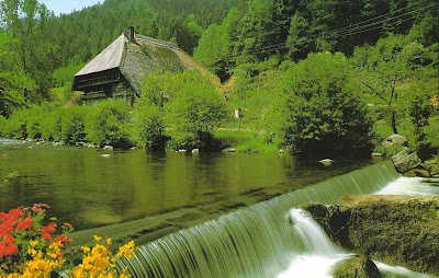 Beautiful and Inspirational Images of Black Forest Germany