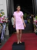 pink trend warna tahun 2011